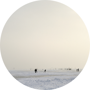 Schaatsers en ijszeilers op de Gouwzee van Merijn van der Vliet