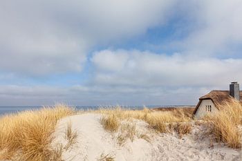 Haus in den Dünen