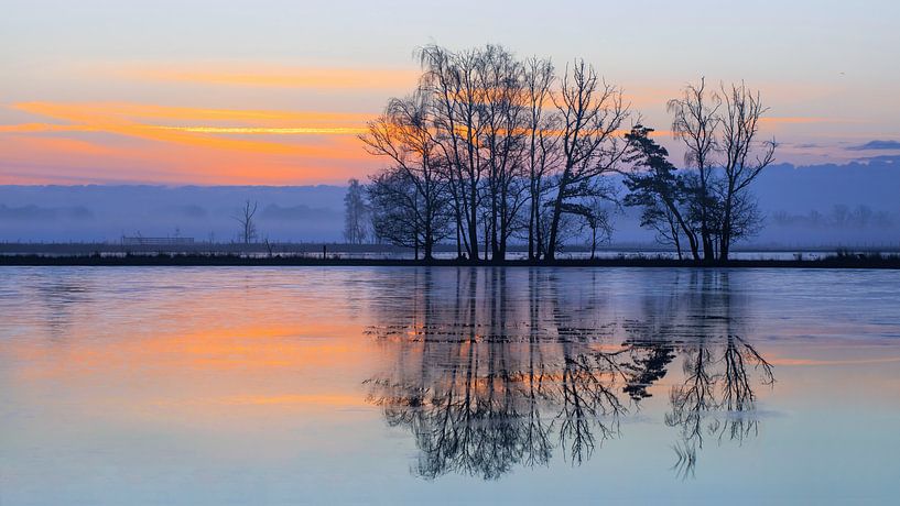 Daybreak scène met bevroren wetland weerspiegeld in het water van Tony Vingerhoets