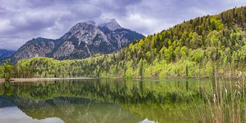 Schwansee, dahinter Säuling und Pilgerschrofen von Walter G. Allgöwer