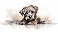 Baby-Hund