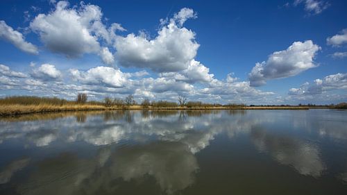 Biesbosch-Nationalpark
