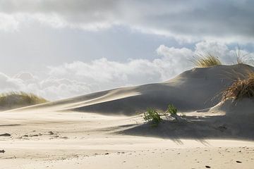 Stuifzand in de Nederlandse duinen van Luuk Kuijpers