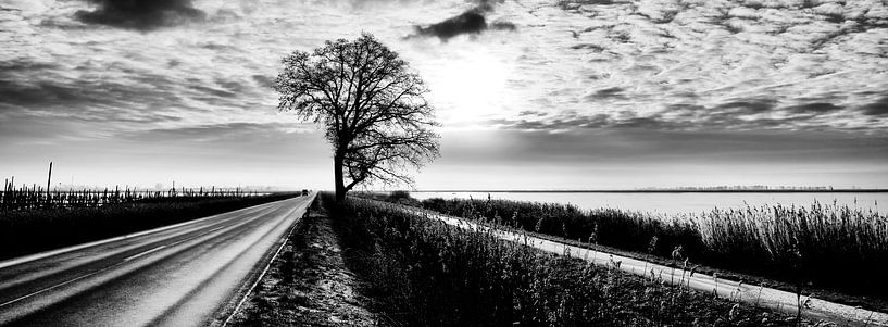 Landschaft auf Usedom von Heiko Westphalen