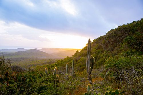 Sonnenaufgang Sint Christoffelberg Curaçao