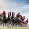Paarden menwedstrijd van PAM fotostudio
