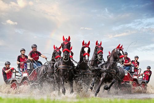 Paarden menwedstrijd