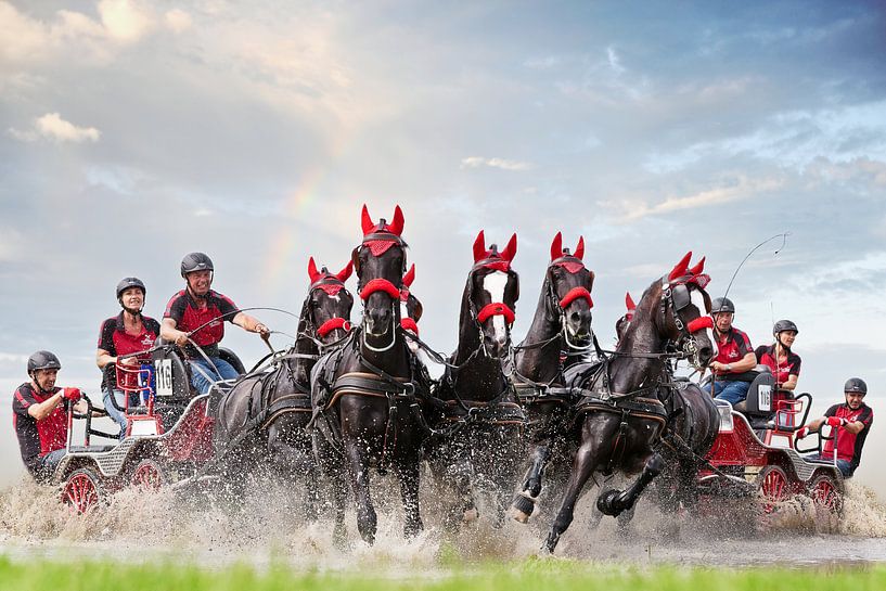 Paarden menwedstrijd van PAM fotostudio