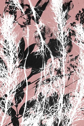 Impression botanique cyanotype avec détails roses et noirs