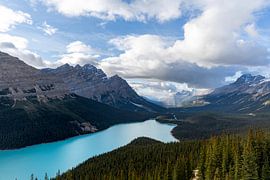 Peyto Lake: Turquoise Jewel of the Rockies