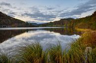 Autumn Morning at Lake Rursee - Beautiful Eifel by Rolf Schnepp thumbnail