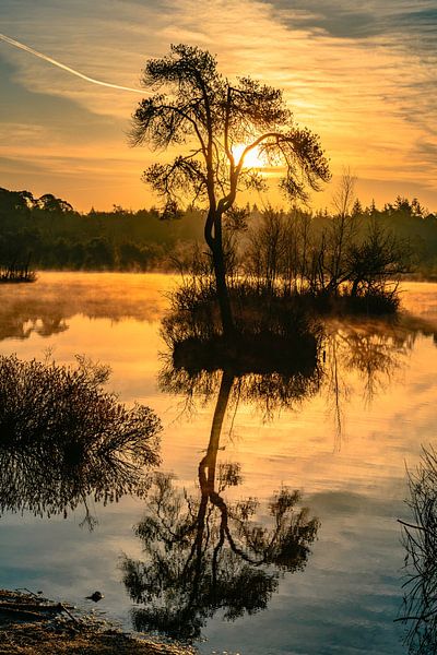 Sunrise Voorste Goorven Oisterwijkse Bossen by Freddie de Roeck