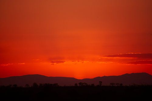 Zonsondergang op de savanne in Afrika