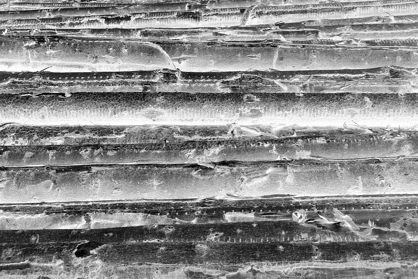 Lines by Adri FRIJTERS