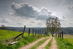 Bergischer Panoramasteig, Bergisches Land, Deutschland
