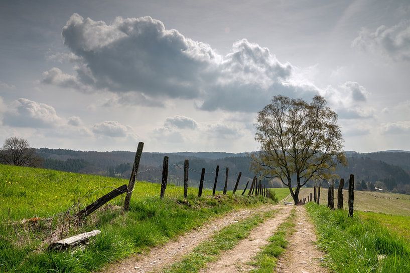 Bergisches Panoramasteig, Bergisches Land, Germany by Alexander Ludwig