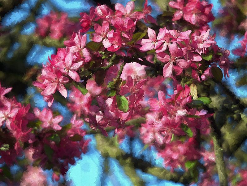 Fleurs de printemps par Edgar Schermaul