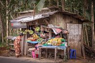 Traditioneller Laden mit Obst an der Straße irgendwo auf Java von Jeroen Langeveld, MrLangeveldPhoto Miniaturansicht