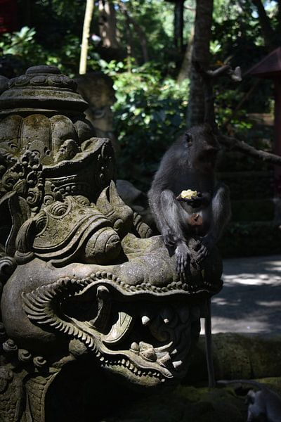 Bali by Hello Pompoyo