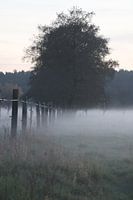 Abend in Brandenburg