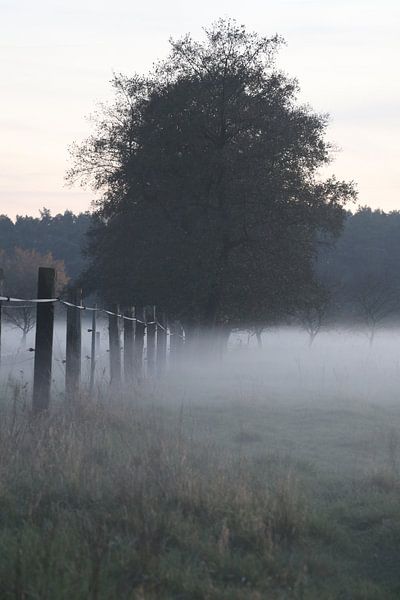 Abend in Brandenburg von Stefan Hannemann
