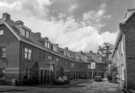 Begoniastraat by Hugo Lingeman