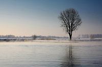 Nebel über dem Fluss