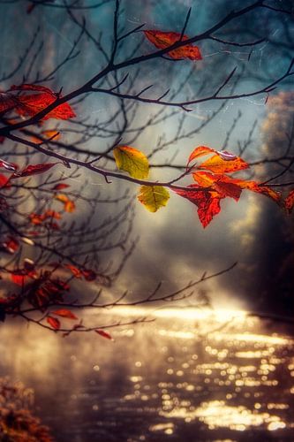 Golden Morning - Autumn morning on the river Wupper