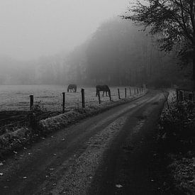 Nebliger Morgen auf dem Land Schwarz-Weiß von Eke Salomé
