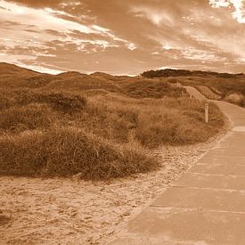 Texel even weg van de tijd. van Jose Lok