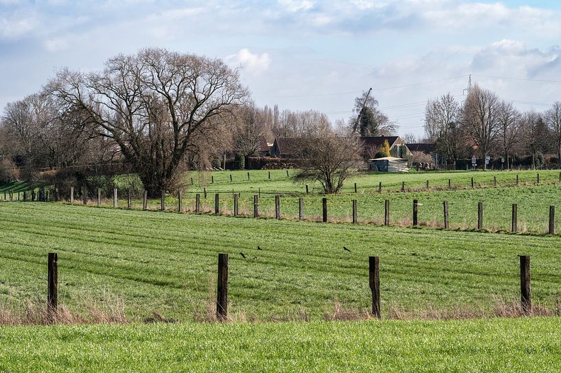 Diagonal lines through green hills by Werner Lerooy