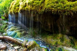moosbedeckter Wasserfall von Jürgen Wiesler