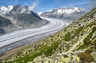 Aletsch Gletsjer van Chris Gottenbos thumbnail