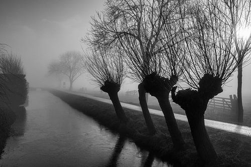 Langerak in de mist 1