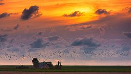 Evening falls in Groningen province