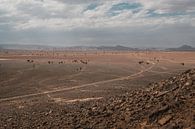 Morocco landscape 6 by Andy Troy thumbnail