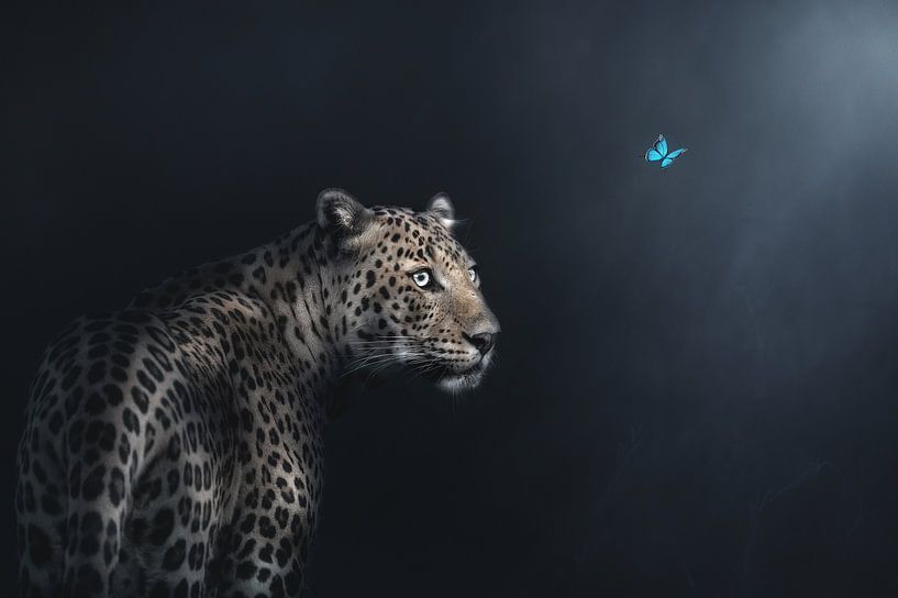 Imagination by Jayanta Guha