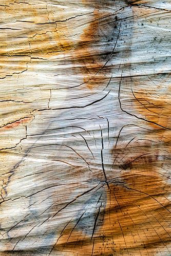 Boomsnoei en abstracte structuur