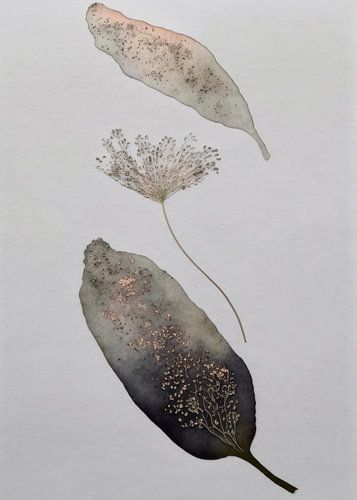 Flatlay of pressed flowers combined with watercolour