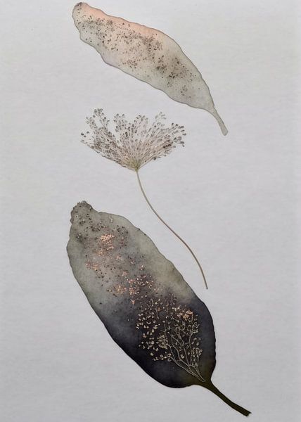 Flatlay of pressed flowers combined with watercolour by Studio Allee