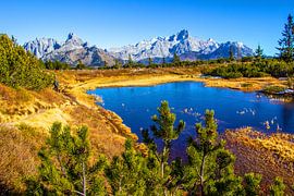 The black varnish on the Gerzkopf by Christa Kramer