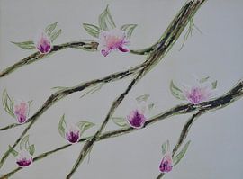 Magnolia by Frank van Veen