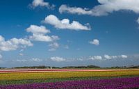 Nederlands plaatje van Menno Schaefer thumbnail