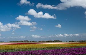 Image néerlandaise sur Menno Schaefer