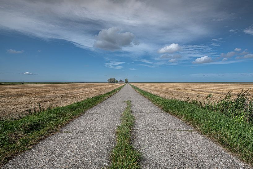 Die Westhoek in Friesland mit dem Wattenmeerdeich als Horizont von Harrie Muis