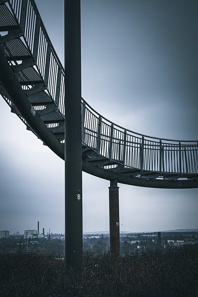 Tiger &amp; Turtle - Simplicity (2) von Jenny Kambeck