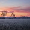 Ochtendrijp met Roze Lucht van Zwoele Plaatjes
