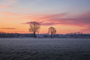 Conduite matinale avec le ciel rose