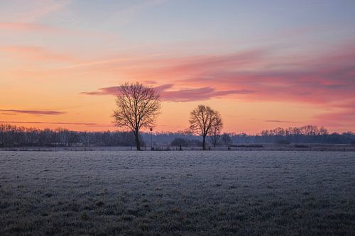 Ochtendrijp met Roze Lucht