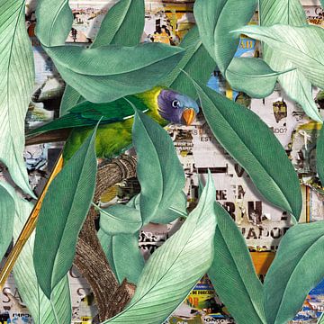 The Parrot Project van Marja van den Hurk